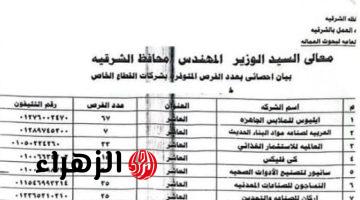 توفير 950 فرصة عمل بالقطاع الخاص فى الشرقية