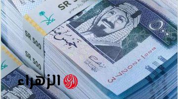 سعر الريال السعودى أمام الجنيه المصري اليوم 14-12-2024 في السوق السوداء والبنوك وماكينات الـ ATM والصرافة | عملة المملكة وصلت كام النهاردة؟