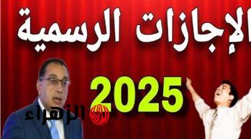 هام للملايين في مصر 11 يوم إجازة في يناير 2025: عطلات رسمية للجميع في البنوك والمدارس وهيئة البريد المصري والمصالح الحكومية  اكتشف موعد راحتك!