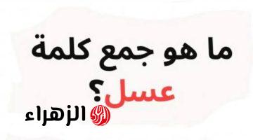 الإجابة حيرت ملايين الطلاب… ما هو جمع كلمة عسل في اللغة العربية؟.. عمرها ما هتيجي على بالك خالص