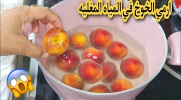 وصفة بمليون دولار !! ياليتني عملتها من زمان.. حطي الخوخ في المياه المغلية واعملي أحلى وصفة لعيالك مش هتصدقي حلاوتها وطعمها!!