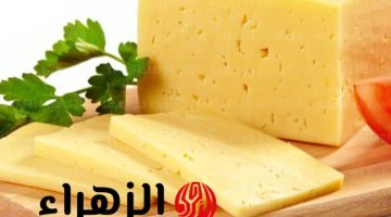 دبري فلوسك واعملي الجبنة الرومي في البيت! طريقة رائعة لصنع الجبنة الرومي 100% طبيعية بمكونات بسيطة