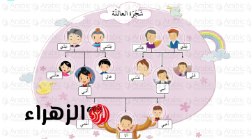 «3% بس اللي يعرفوها».. حيلة عبقرية تقدر تعرف بيها أصولك في ثواني من خلال شجرة عيلتك!