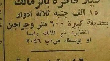 فيلا بـ 15 ألف بالزمالك وعمارة بـ 4600 جنيه.. إعلان يثير ضجة على السوشيال ميديا