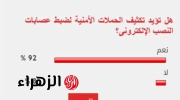 92% من القراء يطالبون بتكثيف حملات ضبط عصابات النصب الإلكترونى