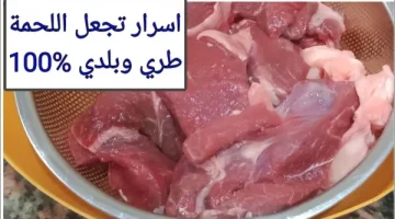 شيف فنادق هو صاحب الوصفة دي .. مكون سحري لتسوية ” اللحوم والكوارع ” بسرعة كبيرة وبدون استخدام حلة الضغط .. اطبخي 100 كيلو في دقايق !!