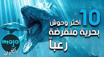 “صدمة تزلزل البحار”.. اكتشاف أخطر 10 وحوش بحرية في العالم تستطيع أن تبتلع سفنا كاملة أحدها ظهر في البحر الأحمر.. رعب لا يوصف!!