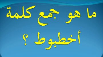 “السؤال الذي ابكى الملايين”.. ماهو جمع كلمة ” أخطبوط ” في اللغة العربية التي عجز عن معرفتها الجميع !!.. مستحيل تخطر على بال الجن!!