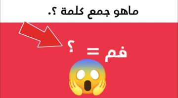 “فشل فيها جميع عباقرة اللغة”.. ماهو جمع كلمة ” فم ” في اللغة العربية التي عجز عنها الملايين.. مستحيل تخطر ببال الجن الأزرق!!