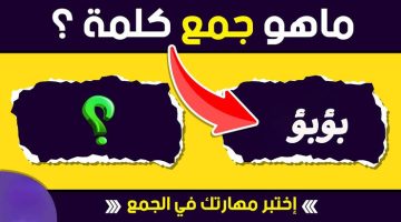 “سقطت دفعة كاملة من سنتين”.. ما هو جمع كلمة ” بؤبؤ ” في اللغة العربية التي أثارت الجدل في مصر كلها !!.. 99% من الناس ميعرفوهاش!!