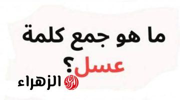 “السؤال الذي ابكى 1000 طالب”.. ما هو جمع كلمة “عسل  ” في اللغة العربية التي عجز عن حلها ملايين الناس!.. دكتور في الجامعة يعلن الاجابة!!