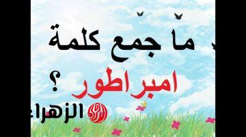 “سؤال ضيع الملايين في مصر”.. هل تعلم ما هو جمع كلمة إمبراطور في اللغة العربية؟!.. خبير في المجال يعلن الجواب الصحيح بعد سنين !!