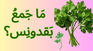 “سؤال صعب وابكي الملايين”.. جمع كلمة ” بقدونس ” يثير الجدل في جميع المدارس المصرية والمدرسين مش عارفين!!.. لو شاطر جاوب صح !!