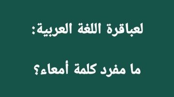 ” السؤال الذي سقط الملايين هذا العام “.. هل تعرف ما هو مفرد كلمة ” أمعاء ” في قاموس اللغة العربية الفصحى؟!.. سؤال مخصّص العباقرة فقط!!