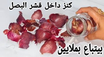 ” السر دا من عطار عجوز”.. حطي قشر البصل في البرطمان بهذه الطريقة وهتكسبي منه الملايين في لمح البصر !!.. كنز ثمين وتحدي !!