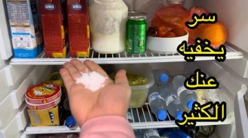 لو ما جربتيش الطريقة دي فايتك كتير!!!.. حطي شوية ملح في الثلاجة وهتشوفي السحر.. سر ما كنتيش تعرفيه هيغير يومك بالكامل!!!