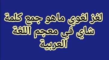 “السؤال الذي ابكي المدرسين كلهم”.. هل تعلم ما هو جمع كلمة ” شاي ” في قاموس اللغة العربية الفصحى؟!.. سنين عايشين ومش عارفين !!