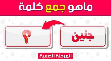 ” للمتفوقين فقط وتحدي “.. جمع كلمة ” جنين ” في اللغة العربية الفصحى يبحث عنها الملايين !!.. هل يمكنك توقع الاجابة الصح ؟؟!!