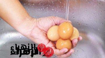 “ماترجعش تعيط وتقول مااعرفش”!… خطورة غسل البيض بالماء قبل سلقه.. إليكم الطريقة الصحيحة لطهيه!!