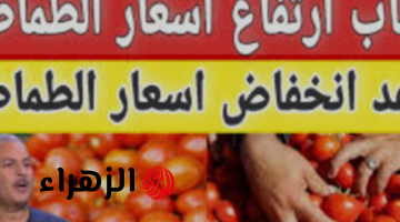 «لو لقيتها بلاش تشتريها».. تحذير من شراء هذا النوع من الطماطم “سم قاااتل”!!