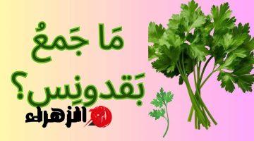 “سؤال عايز عبقري يحله !”..ماهو جمع كلمة بقدونس التي أبكت طلاب الثانوية في امتحان اللغة العربية!!