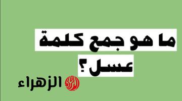 « سؤال جنن ملايين الطلاب » .. ما هو جمع كلمة “عسل” في اللغة العربية التي عجز عن حلها طلاب الثانويةالعامة ؟!! .. أتحداك تعرف تحلها لوحدك !!