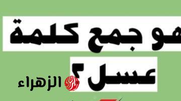 «تبقى عبقري لو عرفت تحلها لوحدك !!» .. ما هو جمع كلمة “عسل” في اللغة العربية التي حيرت الطلاب المعلمين؟؟ .. دكتور جامعي يوضح الإجابة الصحيحة!!!