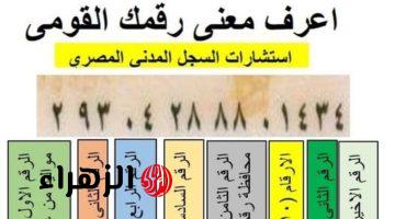 “ معلومة أول مرة تعرفها ” .. هل تعلم ما هو مدلول الـ14 رقم الموجودين على بطاقة الرقم القومي .. عمرها ماكانت تيجي على بالك!!