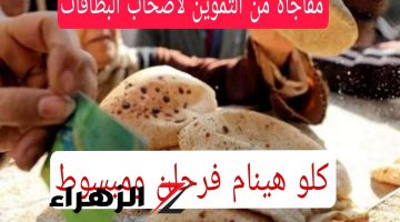 ارقص ياعم صابر!! خبر هيخلي الناس كلها وفرحانه!!.. مفاجأة من التموين لأصحاب البطاقات بشان فارق نقاط الخبز المدعم.. هي دي الاخبار ولا بلاش!!