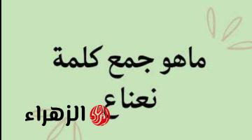 “99٪ من الطلاب معرفوش يحلوها” … هل تعرف ما جمع كلمة نعناع في معجم اللغة العربية التي أبكت ملايين الطلاب والطالبات .. دكتور جامعي يوضح الإجابة الصحيحة!!!