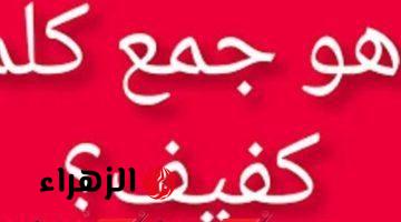 “معجزة لو عرفت تحلها لوحدك”.. ماهو جمع كملة “كفيف” فى اللغه العربيه التي عجز عن حلها عمالقة الطلاب والمدرسين؟؟ إجابة غير متوقعة أذهلت الجميع