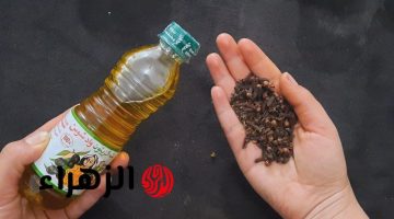 “ضاع عمرك وانتي مبتعمليهاش” .. اخلطي زيت الزيتون مع القرنفل وضعيه ليلة واحدة قبل النوم وشوفي الفرق بعنيكي .. مش هتستغني عنها طوال حياتك !!!