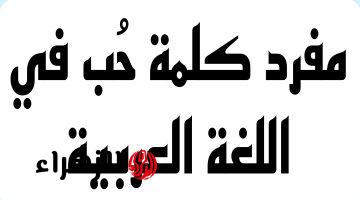 “الطلاب هيموتو بسببها”!!.. دكتور جامعي يجيب على سؤال ما هو مفرد كلمة حُب في اللغة العربية.. مستحيل حد يعرفها