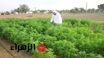 “لا يمكن كنت تتخيل أهميتها”..دولة عربية تتمكن من زراعة هذا النوع من النباتات.. تحتوي على كنز ثمين بها!!