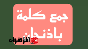 “إجابة جننت المدرسين والطلاب!”.. جمع كلمة “باذنجان”.. سؤال أربك الطلاب في امتحانات الثانوية العامة