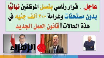 “خلوهم ياخدوا بالهم بقا”..فصل هؤلاء الموظفين عن العمل وغرامة 200 ألف تعديلات قانون العمل الجديد!!.. الزعل هيبان على وشوشهم!!