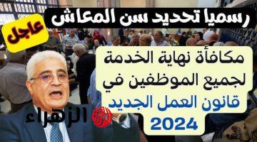 “زغاريط من هنا للصبح “… رسميا تحديد سن التقاعد الرسمي للمعاش ومكافأة نهاية الخدمة وفقا لقانون العمل الجديد 2024.. مش هينامو الليلة!!