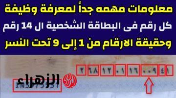 «ما كنتش هتخطر على بالك!».. دلالة الـ 14 رقم في بطاقة الرقم القومي، اتحداك لو كنت تعرفها!