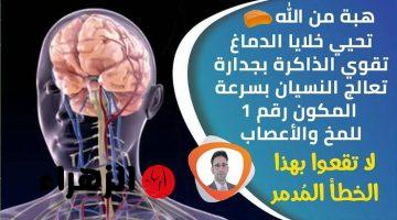 “عمرك ضاع وانت متعرفهاش” .. طعام بسيط متوفر في الأسواق برخص التراب يغذي المخ ويحسن بنية الدماغ ويقوي الذاكرة خلال وقت قصير .. هاته فوراً!