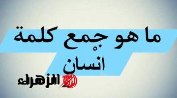 “الاجابة حيرت العلماء نفسهم”… .. دكتور جامعي يجيب عن سؤال ما هو جمع كلمه إنسان في اللغة العربية؟! .. الإجابة عمرها ما خطرت على بالك