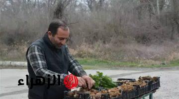 “ضاع عمرنا واحنا منعرفش”..نبات يزرع في المنزل سعر الكيلو منه 100 دولار جرب زراعته ومش هتندم!!