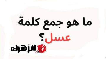 “السؤال حير الملايين”.. ما هو جمع كلمه عسل في اللغة العربية.. الاجابة مش هتخطر على بال حد!!