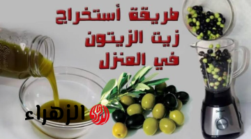 من النهاردة تضمني جودته!!..أسهل طريقة لعمل زيت الزيتون في البيت هتوفري ومش هتشتري من بره تاني..هيبقي مضمون 100%!!