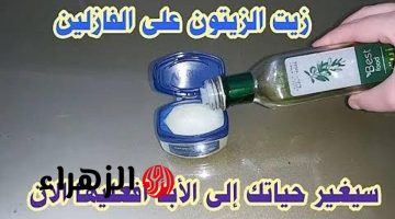 جوزك مش هيحبك غير بالوصفة دي .. حطي زيت الزيتون والفازلين قبل النوم يحولك إلى ملكة جمال إذا استخدمتيه بهذه الطريقة لمدة 3 ليالي فقط