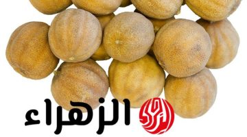 “3% من الناس بس اللي يعرفوها”… استخدامات الليمون الناشف طلع كنز يساوي ملايين الدولارات واحنا منعرفش قيمته أيه!!