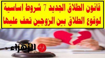 “فكر كويس عشان هيجي علي دماغك” .. 7 شروط وضعتها الحكومة لوقوع الطلاق بين الزوجين طبقاً لقانون الأحوال الشخصية الجديد 2024 .. هتندم ندم عمرك لو طلقت !!!