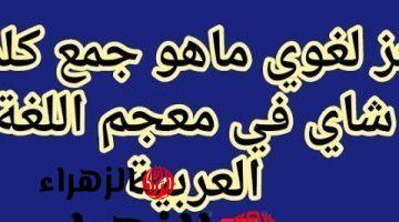 لو انت عبقري إعرف حلها لوحدك .. السؤال الذي حير الطلاب ما هو جمع كلمة شاي في المعجم العربي الفصيح .. إجابة ولا كانت تخطر علي بال المعلمين