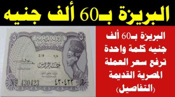 البريزة بـ60 ألف جنيه.. كلمة واحدة ترفع سعر العملة المصرية القديم| فتش عنها في منزلك