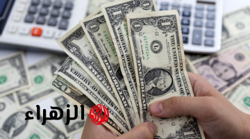 شوف الأخضر وصل كام.. مفاجأة مدوية في سعر الدولار الآن بعد قرار البنك المركزي