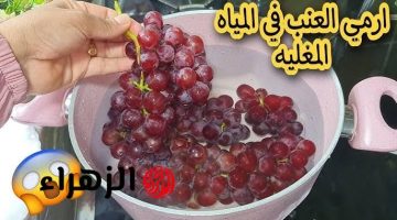 طلع بجد اختراع.. ارمي العنب في الميه المغلية وهتندمي إنك مكنتيش تعرفيها | تحية لمخترع الفكرة